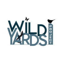 Wild Yards Project avatar photo