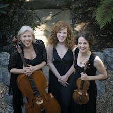 The Delphi Trio avatar photo