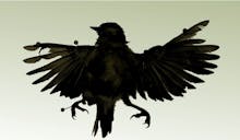 My Brother's Keeper avatar photo