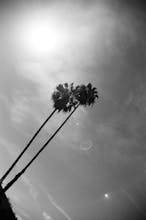Farewell to the Wind avatar photo
