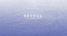 The Bridge Initiative avatar photo
