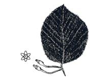 Wisdom Arts Laboratory avatar photo