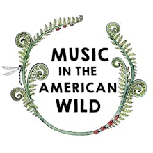 Music in the American Wild avatar photo