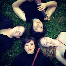 Ensemble Musica Humana avatar photo