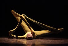 Vervet Dance/Loren Groenendaal avatar photo