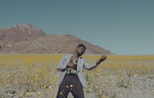 The Instrument / Bee Boy avatar photo