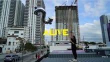 Performance Is Alive avatar photo