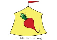 Edible Carnival avatar photo