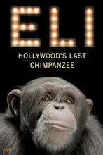 The Last Chimpanzee avatar photo