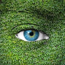 Ivy Theatre avatar photo