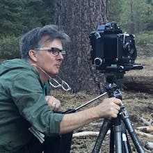 FOREST⇌FIRE avatar photo