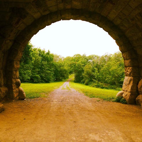 leave no trace theatre 2023-2024 season cover photo