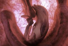 Brian Dolphin & You avatar photo