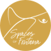 Spaces of Fontana avatar photo