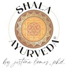 The Shala Fund avatar photo