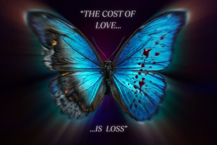 Mercury Fur  cover photo