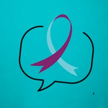 The Ally Series avatar photo