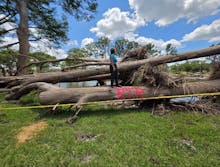 The Heartwood Revival avatar photo