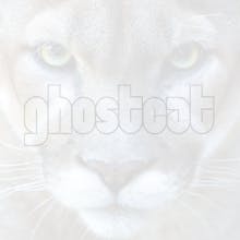 Gaspar's Lair avatar photo