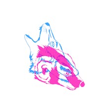 Coyote + Badger Productions avatar photo