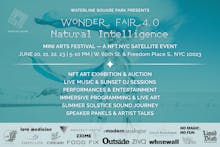 Wonder Fair avatar photo