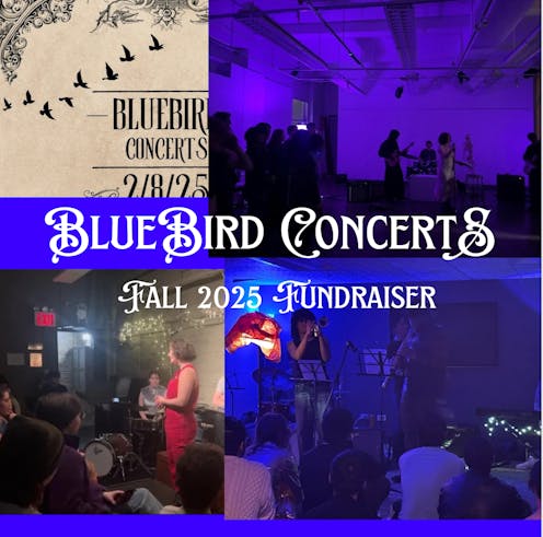 BLUEBIRD 2025 cover photo