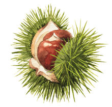 Chestnut Review Literary Magazine avatar photo