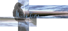 Mink River avatar photo