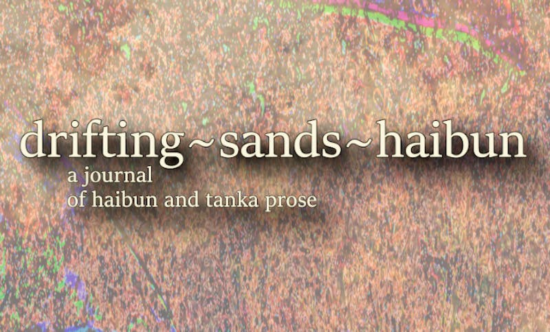 Thank you for Supporting Drifting Sands cover photo