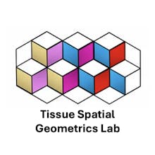 Tissue Spatial Geometrics Lab's Education Productions avatar photo