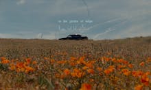 In the Garden of Tulips- Short Film avatar photo