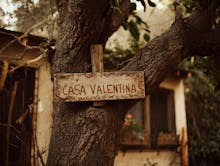 Harvey Fierstein's Casa Valentina, staged at Wellfleet Harbor Actors Theater, October - November 2025 avatar photo